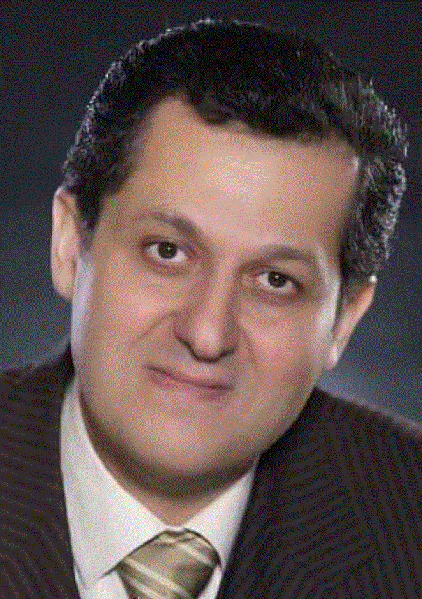  Seyed Shahin Arab
